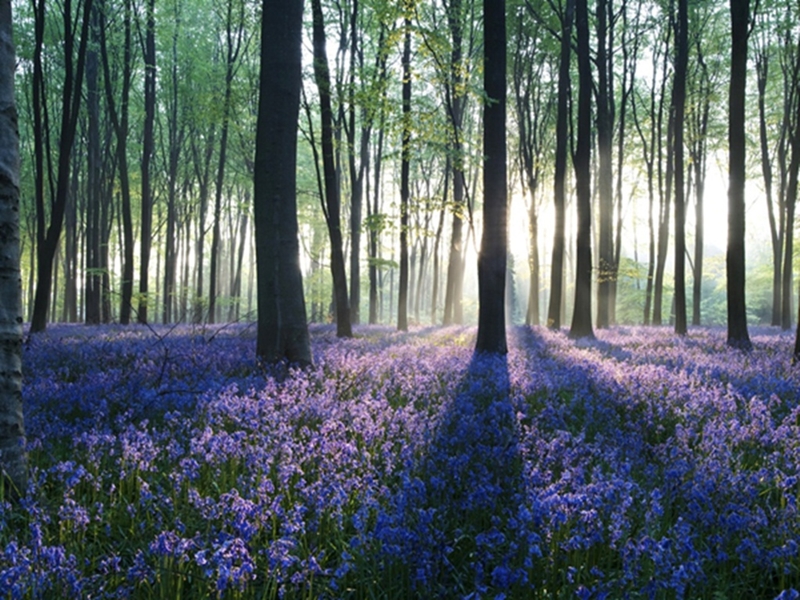 10 خلفيات للكمبيوتر في غاية الروعة